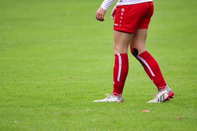 这些老将与 这些老将与