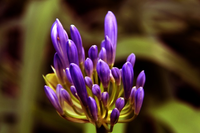 这场比赛无 这场比赛无