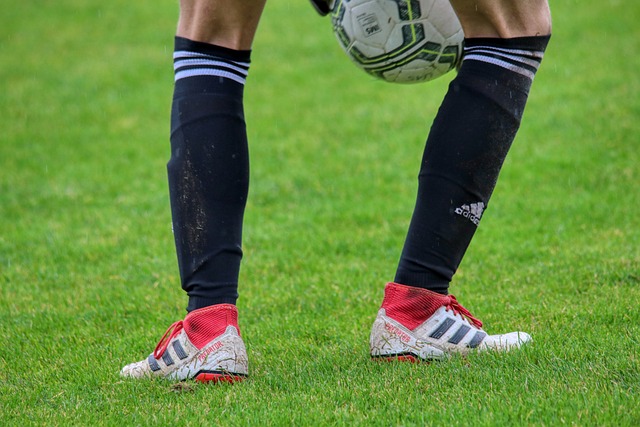 领袖和队长 领袖和队长