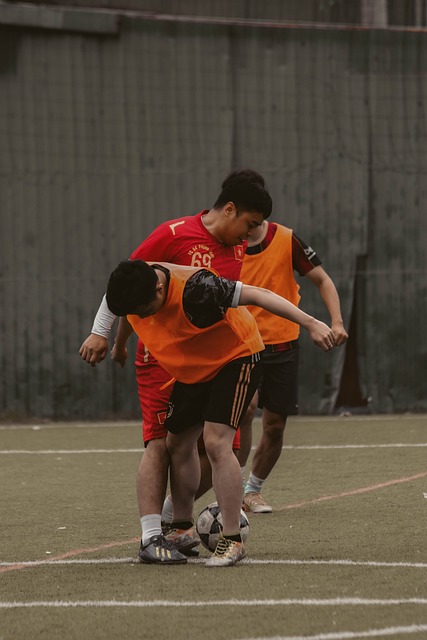 动领域的综 动领域的综