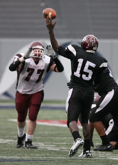 铁杆粉丝 铁杆粉丝