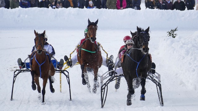 逐渐形成了 逐渐形成了