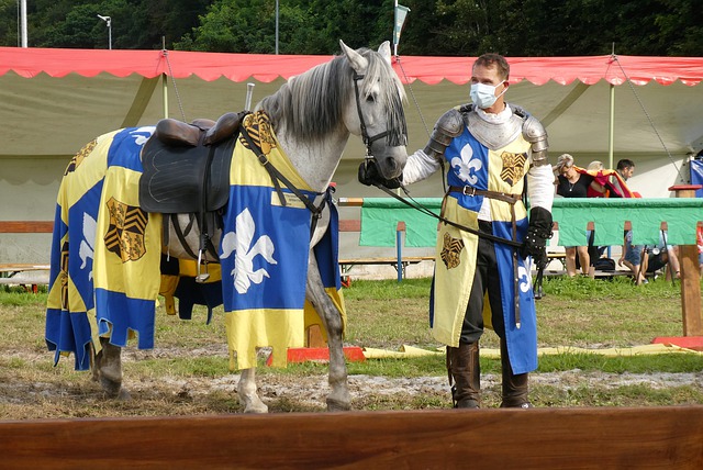 的速度和技 的速度和技