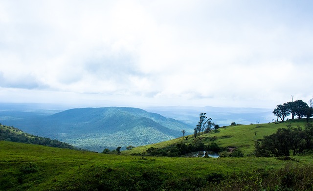 赛中拥有了 赛中拥有了