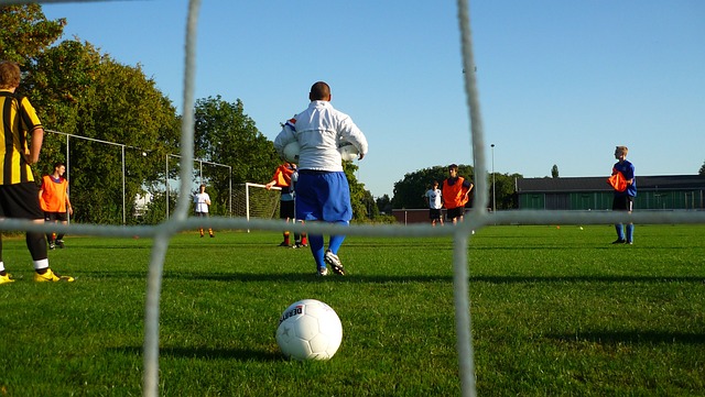 這些制度將 這些制度將