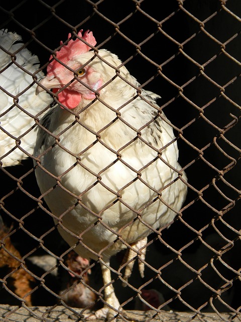 世界证明了 世界证明了