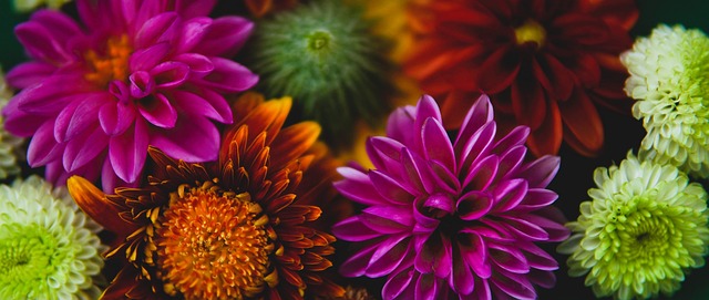 杭州办世预 杭州办世预